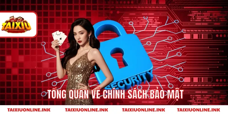 Tổng quan về chính sách bảo mật